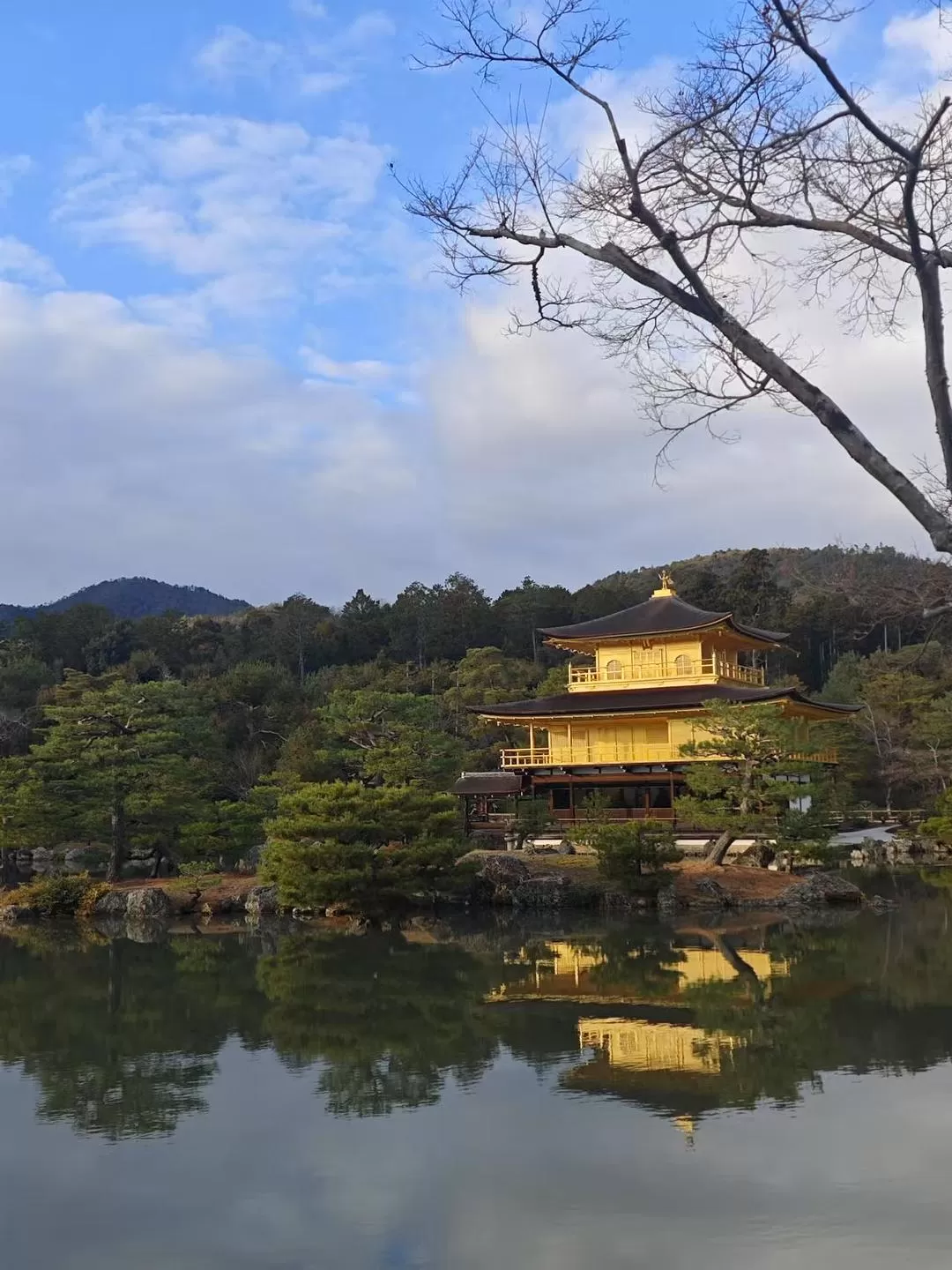 旅游推荐两人游：12.17-30日本14日(二)东京5日（续）🏅+京都5日