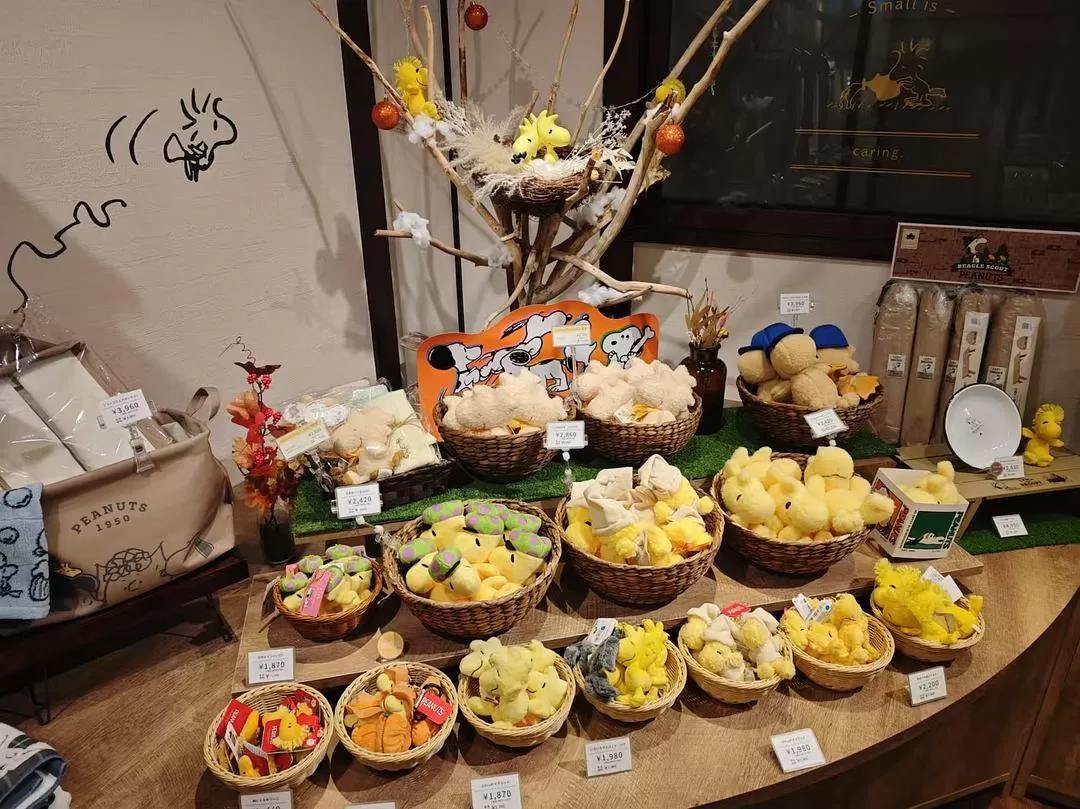 旅游推荐两人游：12.17-30日本14日(二)东京5日（续）🏅+京都5日