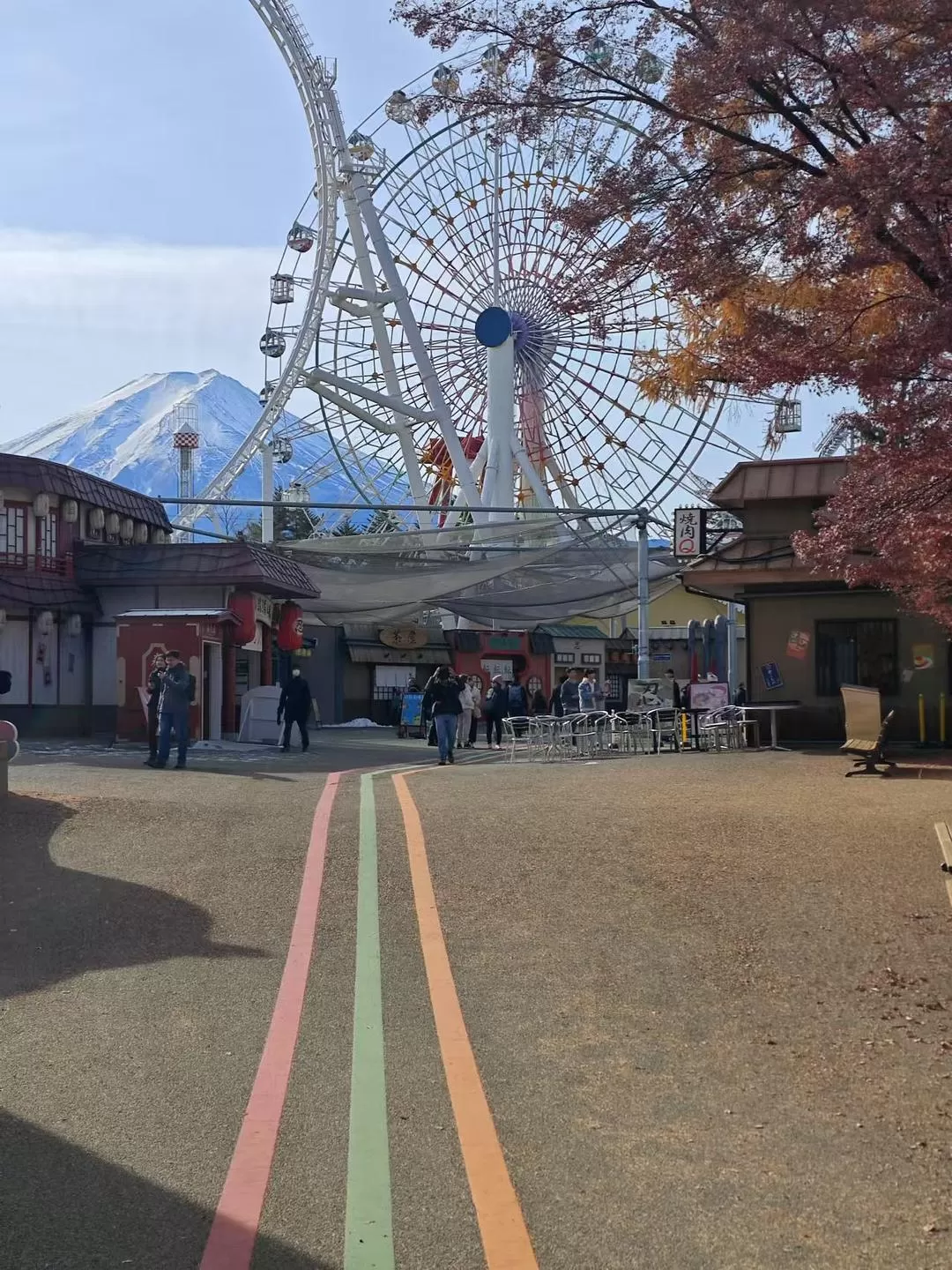 旅游推荐两人游：12.17-30日本14日(二)东京5日（续）🏅+京都5日