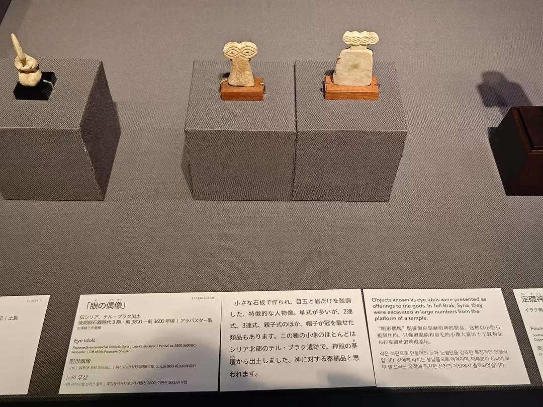 旅游推荐两人游：12.17-30日本14日(二)东京5日（续）🏅+京都5日