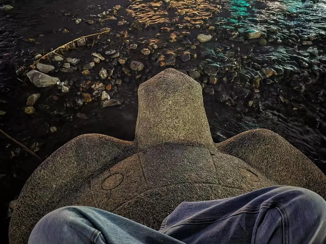 旅游推荐两人游：12.17-30日本14日(二)东京5日（续）🏅+京都5日