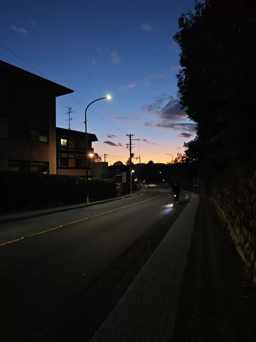 旅游推荐两人游：12.17-30日本14日(二)东京5日（续）🏅+京都5日