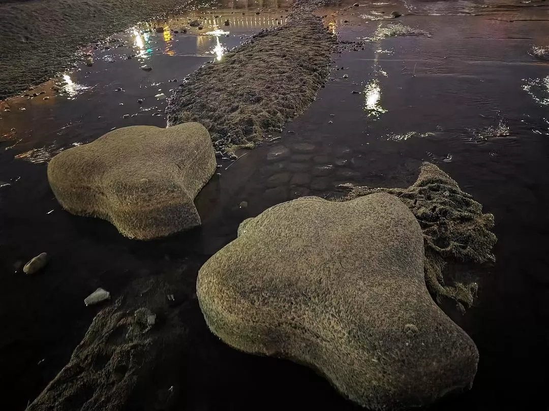 旅游推荐两人游：12.17-30日本14日(二)东京5日（续）🏅+京都5日