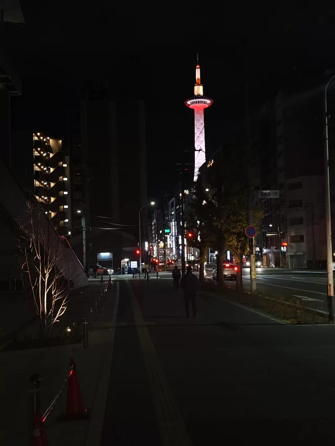 旅游推荐两人游：12.17-30日本14日(二)东京5日（续）🏅+京都5日