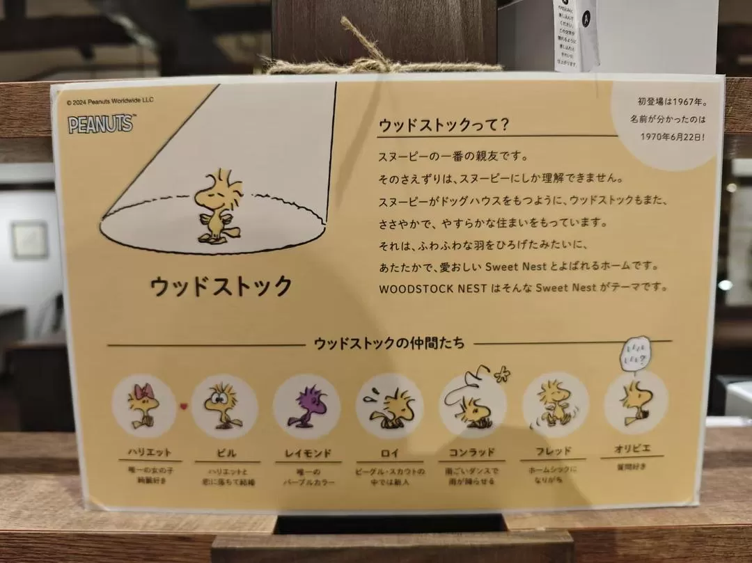 旅游推荐两人游：12.17-30日本14日(二)东京5日（续）🏅+京都5日