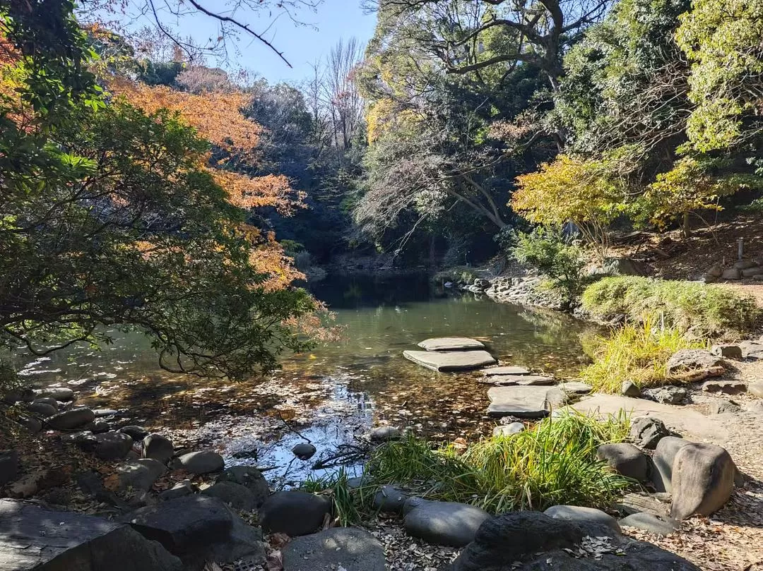 旅游推荐两人游：12.17-30日本14日(二)东京5日（续）🏅+京都5日