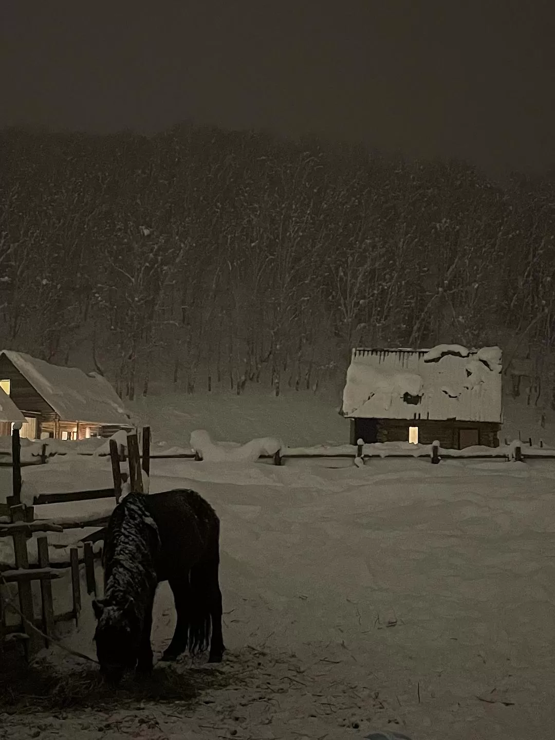 旅游推荐一人游🉑：去阿勒泰是我26年来最成功的一次旅行
