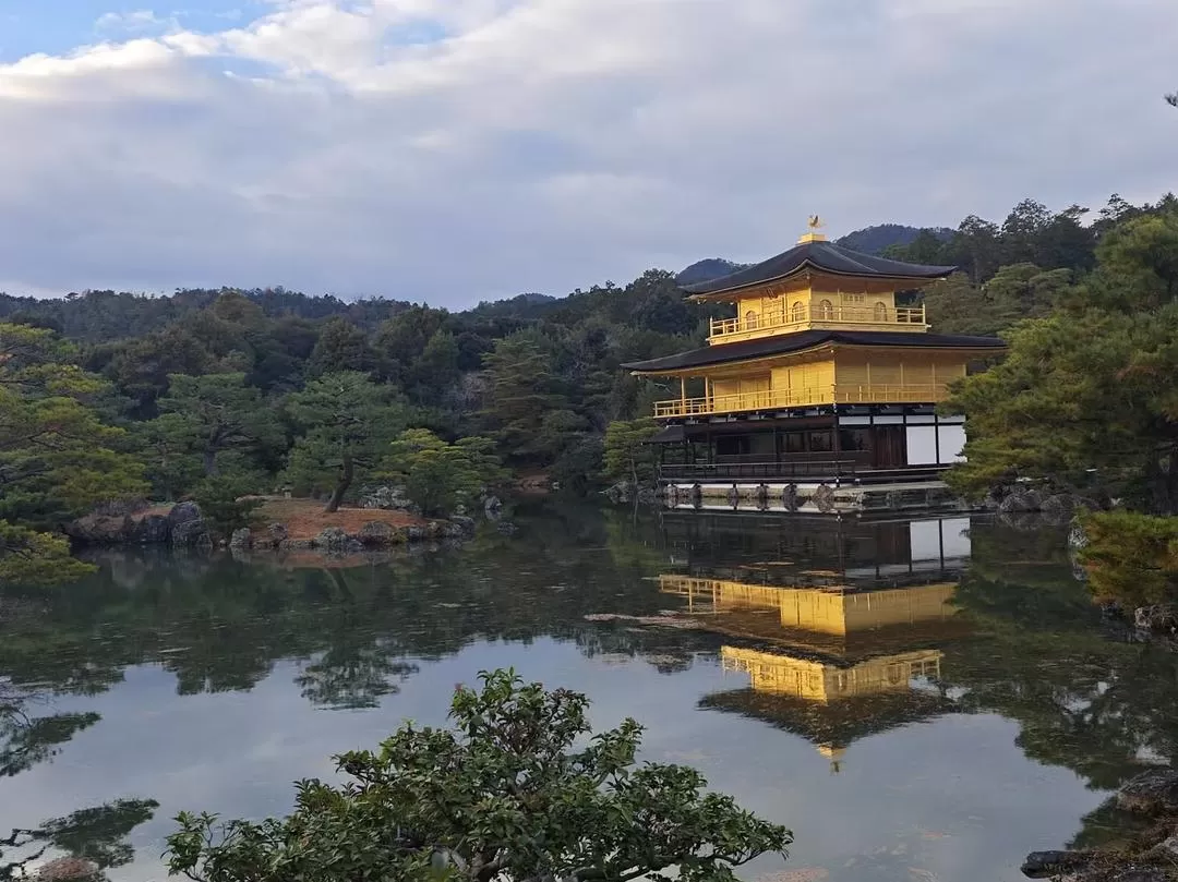 旅游推荐两人游：12.17-30日本14日(二)东京5日（续）🏅+京都5日