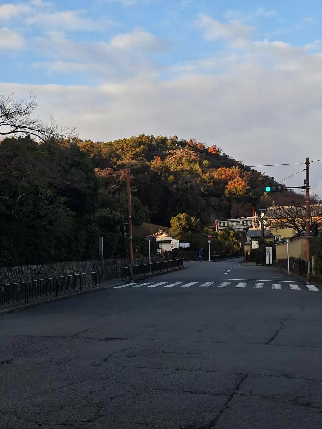 旅游推荐两人游：12.17-30日本14日(二)东京5日（续）🏅+京都5日