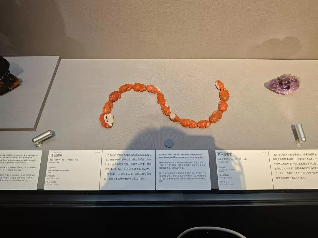 旅游推荐两人游：12.17-30日本14日(二)东京5日（续）🏅+京都5日