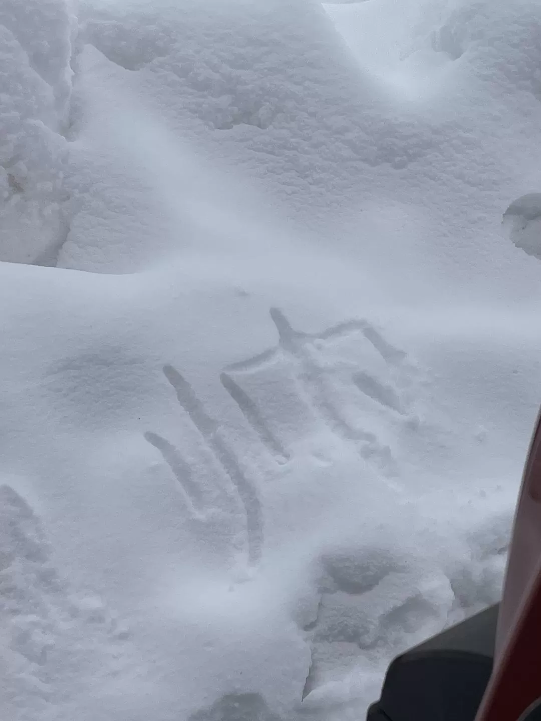 旅游推荐一人游🉑：去阿勒泰是我26年来最成功的一次旅行