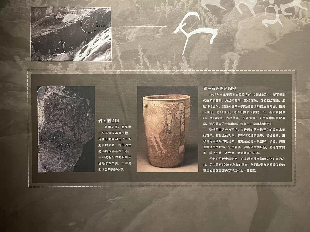 旅游推荐一人游🉑：去阿勒泰是我26年来最成功的一次旅行