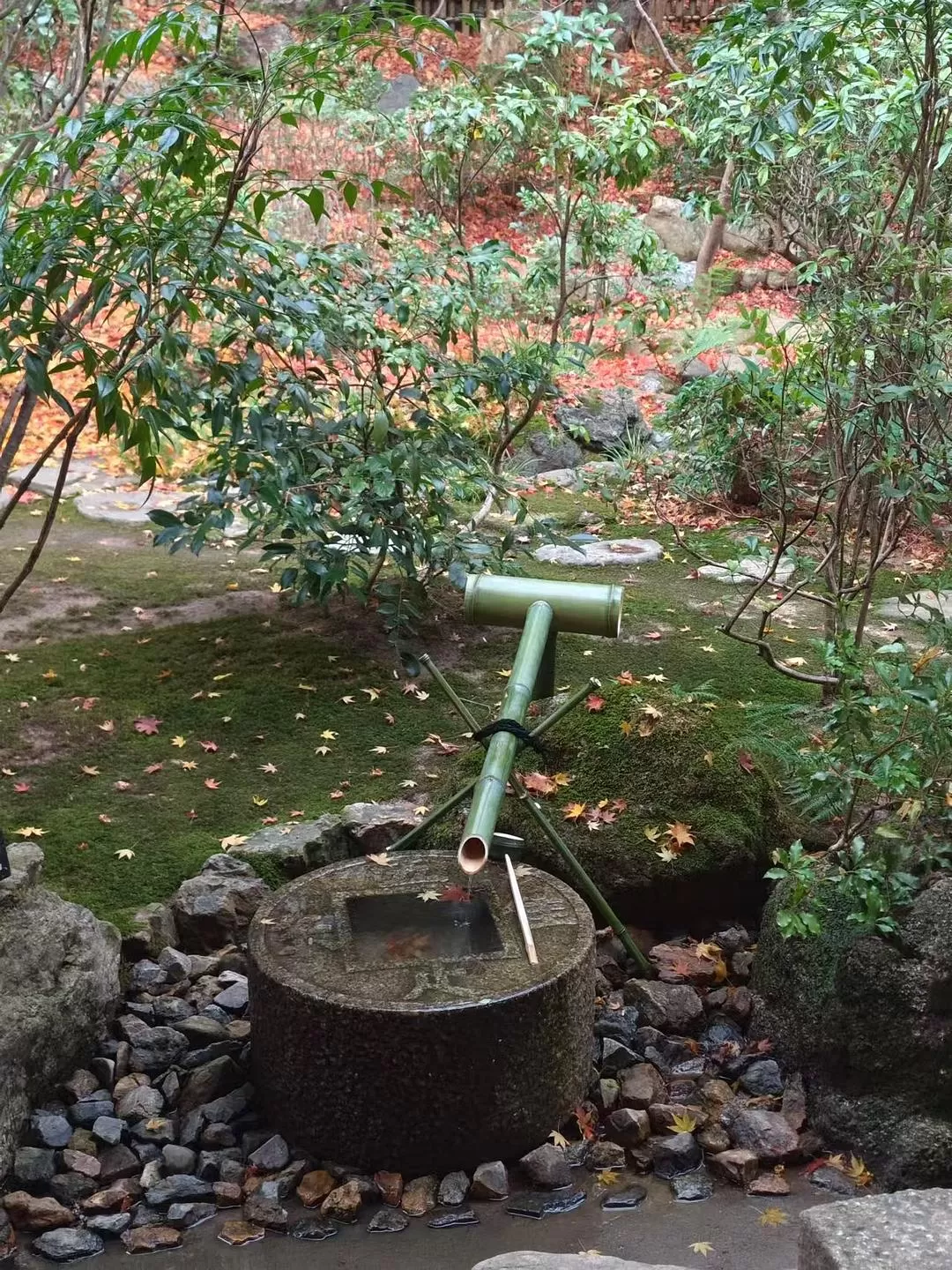 旅游推荐两人游：12.17-30日本14日(二)东京5日（续）🏅+京都5日