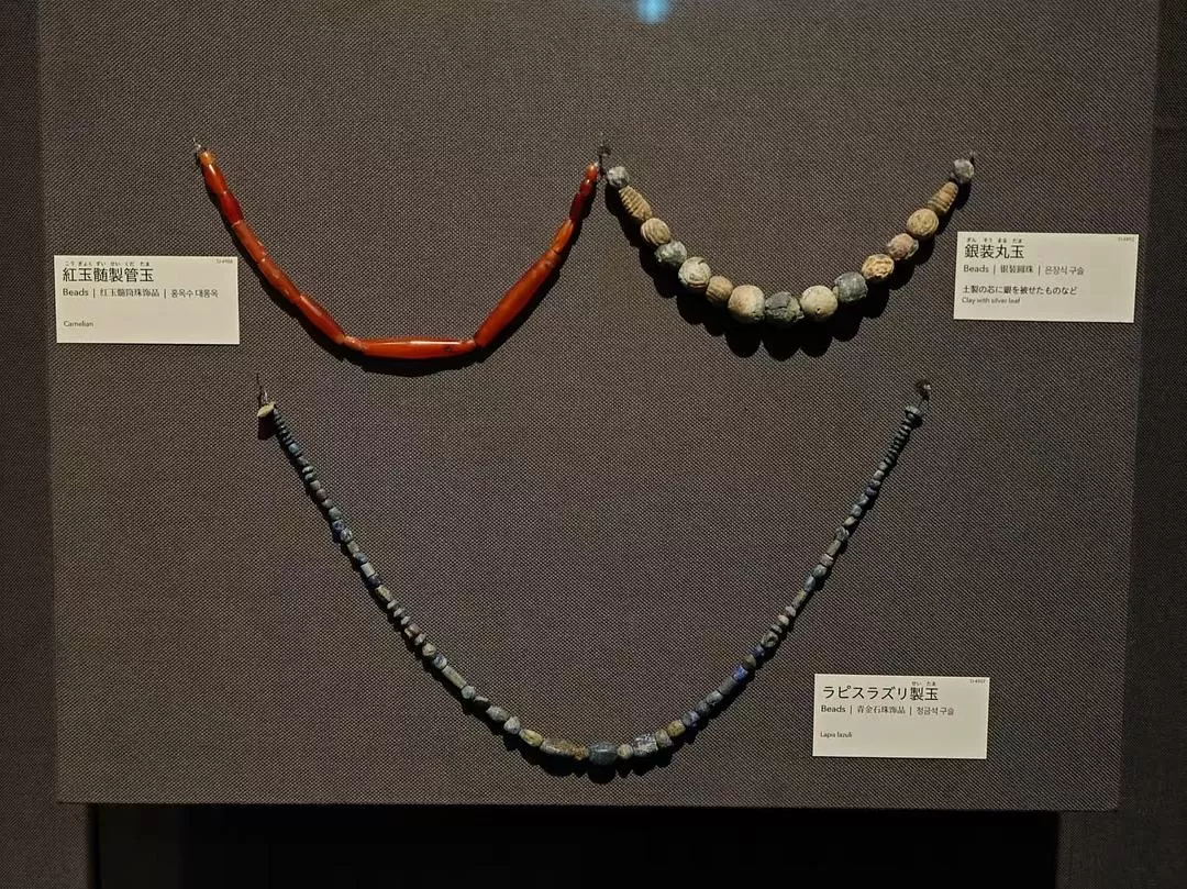 旅游推荐两人游：12.17-30日本14日(二)东京5日（续）🏅+京都5日