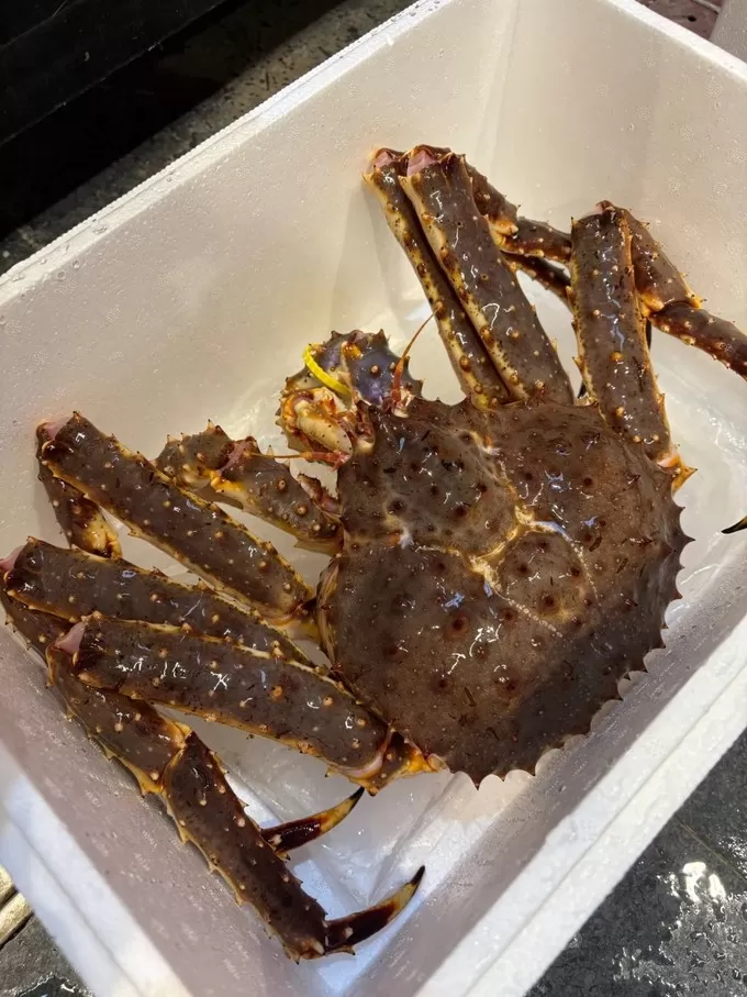 🤬盒马买海鲜新鲜又实惠过年餐桌超加分