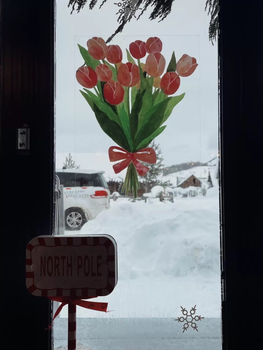 旅游推荐一人游🉑：去阿勒泰是我26年来最成功的一次旅行