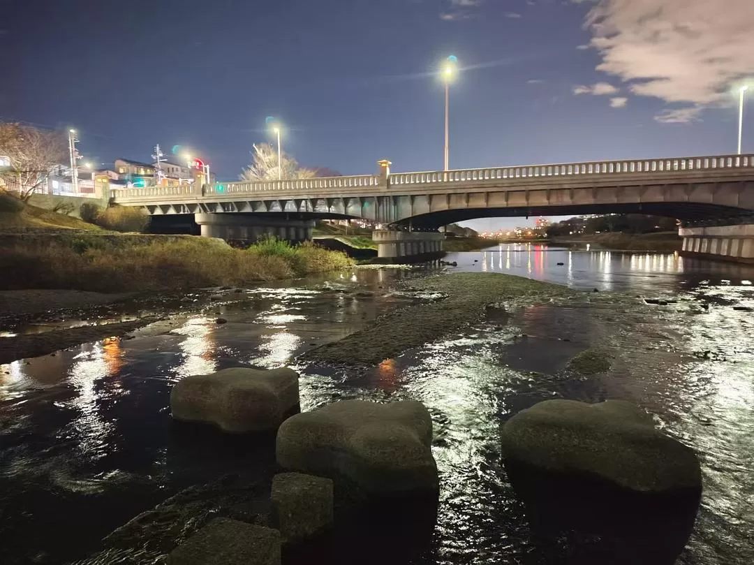 旅游推荐两人游：12.17-30日本14日(二)东京5日（续）🏅+京都5日