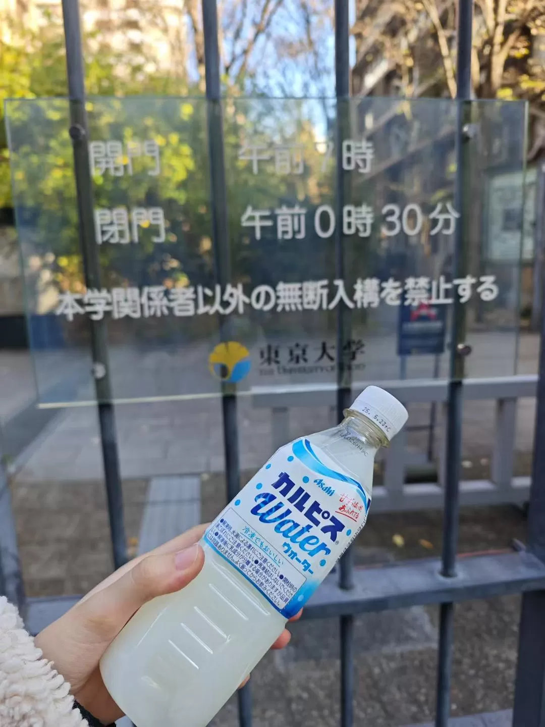 旅游推荐两人游：12.17-30日本14日(二)东京5日（续）🏅+京都5日