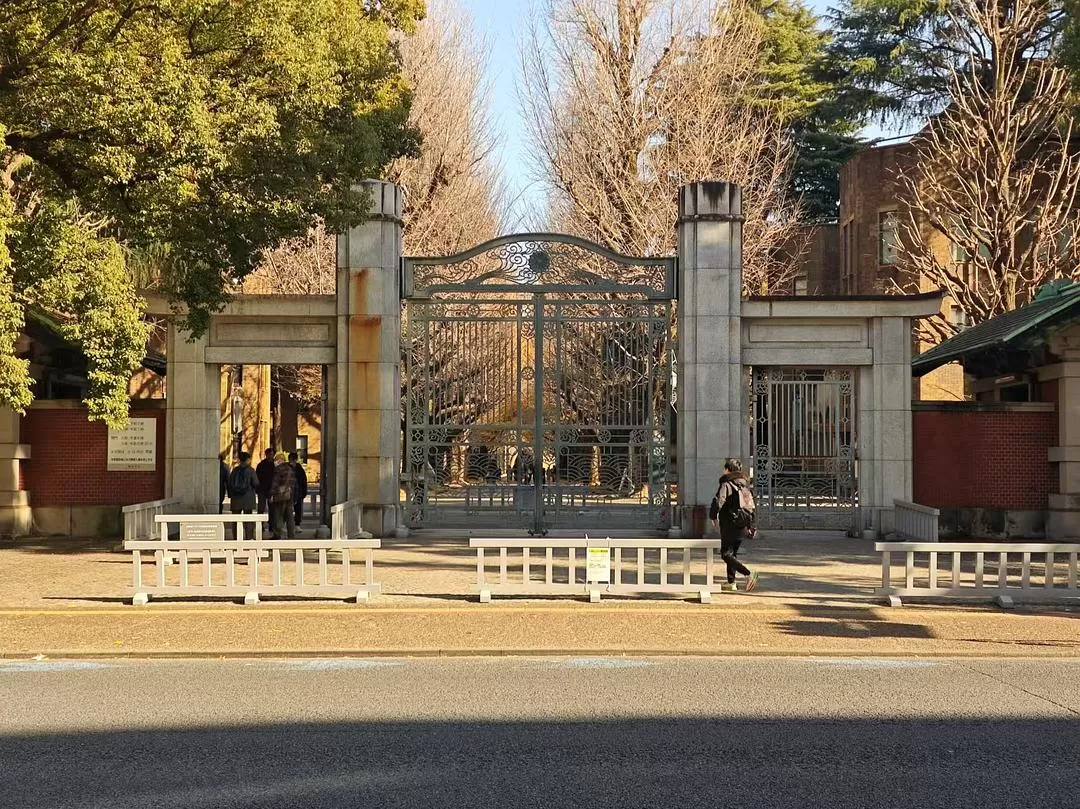 旅游推荐两人游：12.17-30日本14日(二)东京5日（续）🏅+京都5日