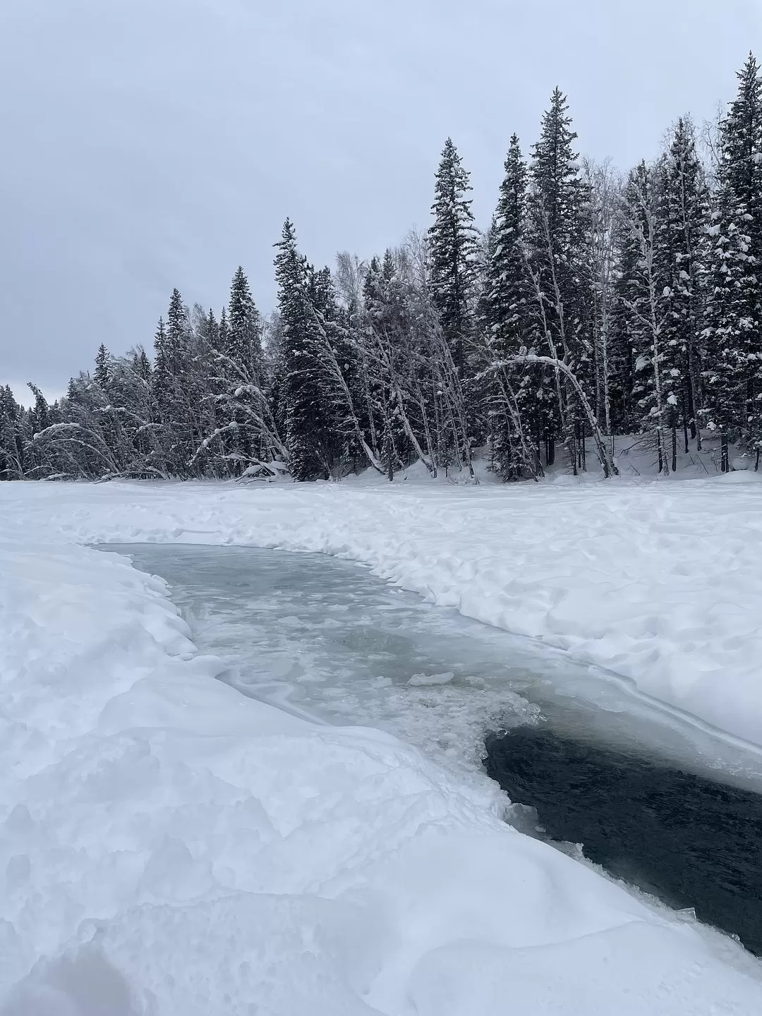 旅游推荐一人游🉑：去阿勒泰是我26年来最成功的一次旅行