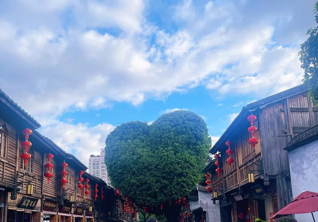 旅游推荐🈲家庭游：带爸妈从金华玩到厦门的二十二天之旅