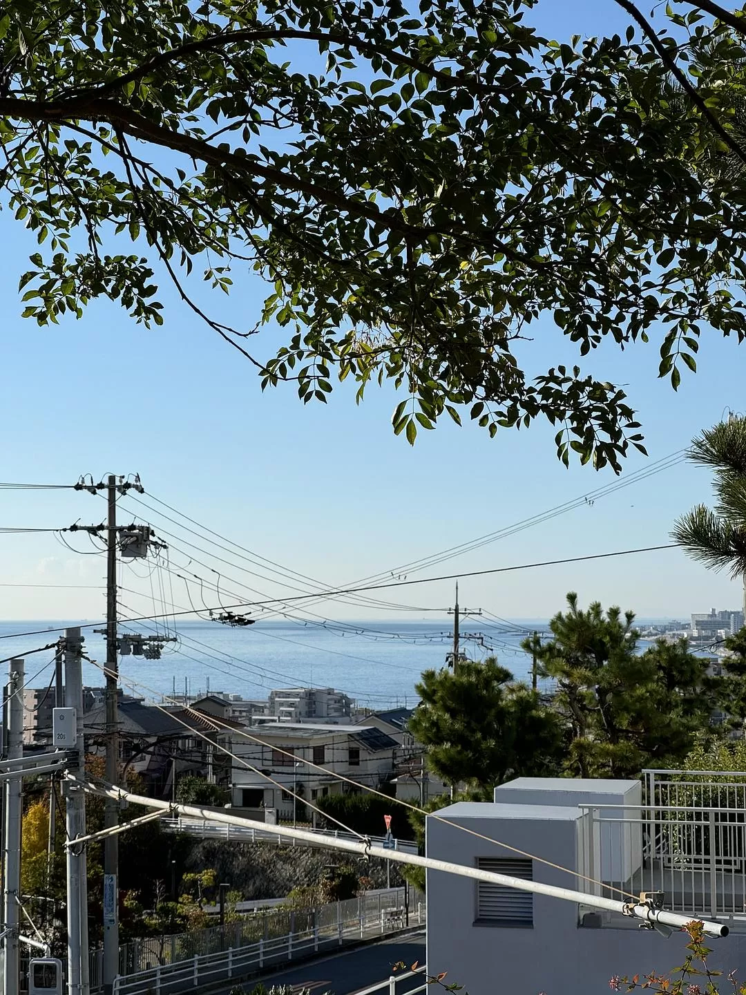 旅游推荐💥一人游:二刷关西最让我惊喜的是神户(附一日游路线及美食)