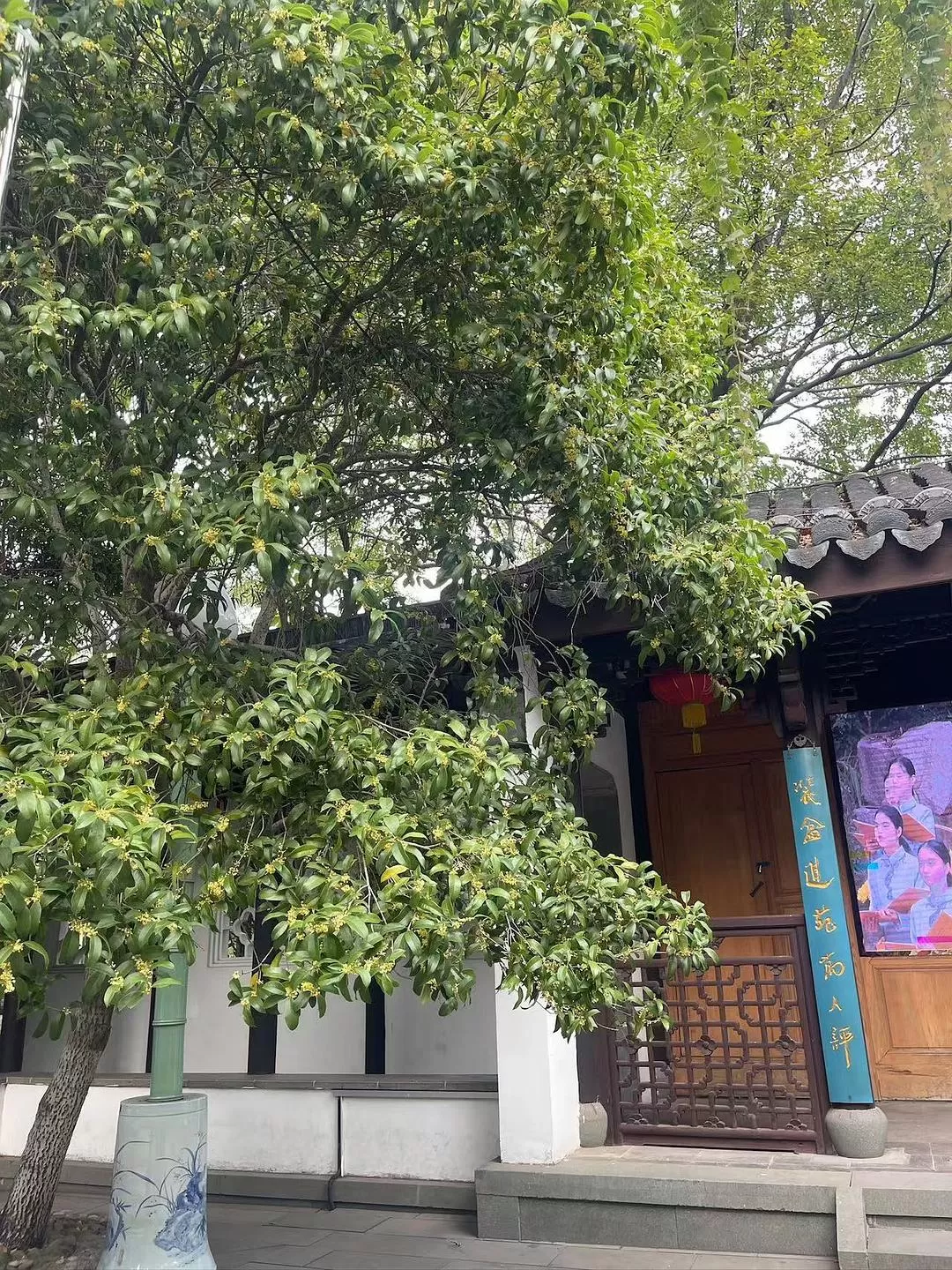 旅游推荐🈲家庭游：带爸妈从金华玩到厦门的二十二天之旅