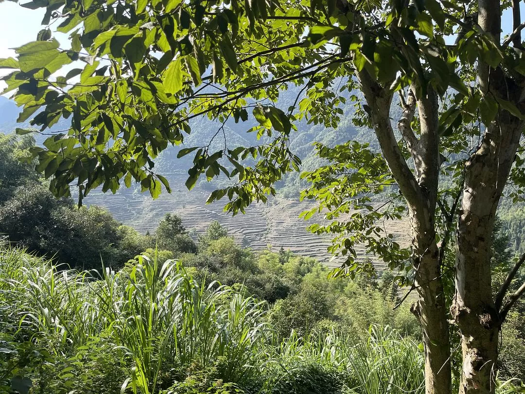 旅游推荐🈲家庭游：带爸妈从金华玩到厦门的二十二天之旅