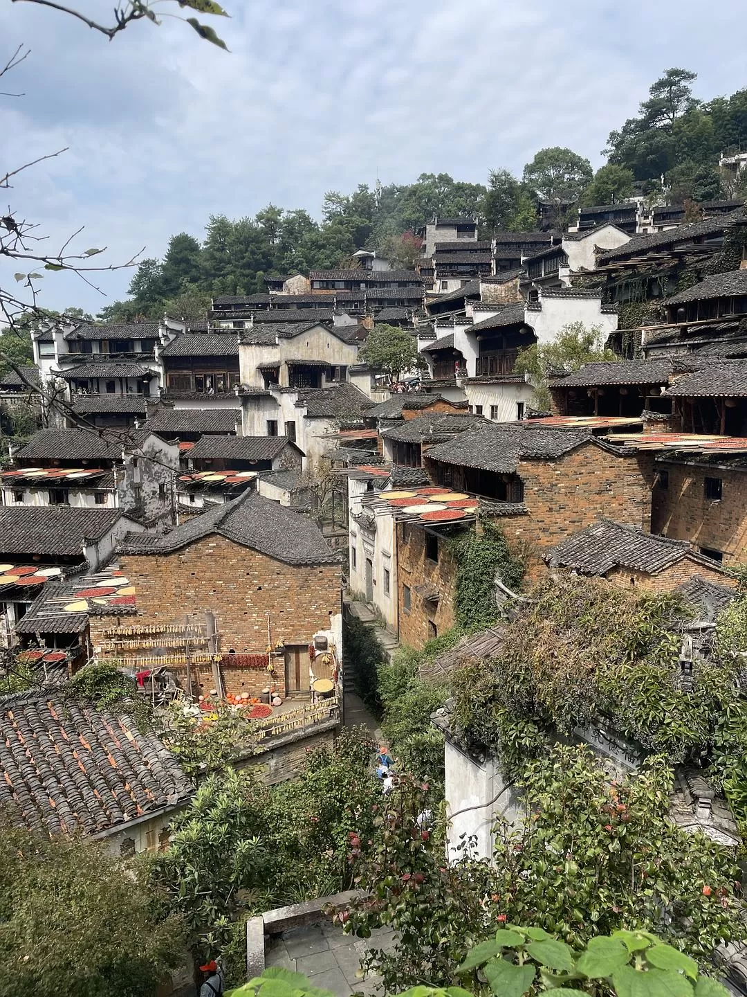 旅游推荐🈲家庭游：带爸妈从金华玩到厦门的二十二天之旅