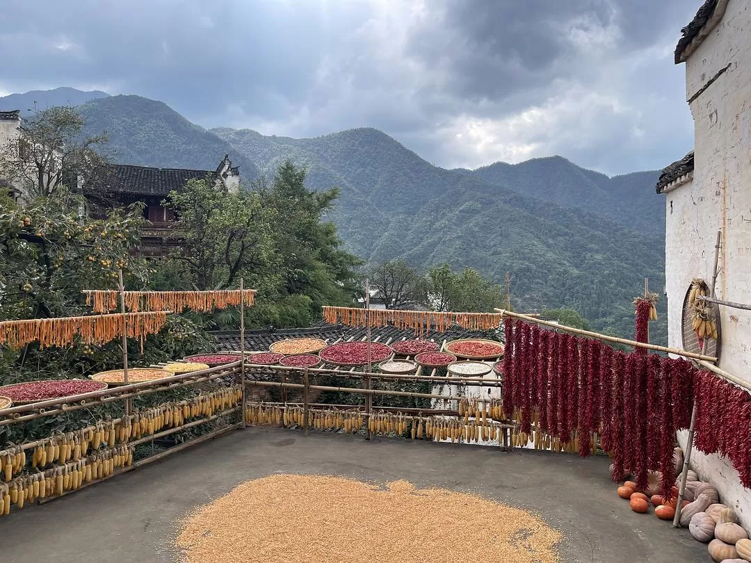 旅游推荐🈲家庭游：带爸妈从金华玩到厦门的二十二天之旅