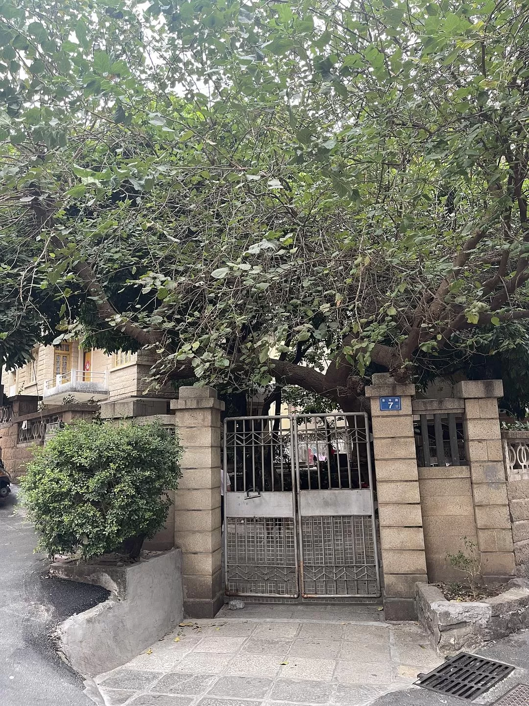 旅游推荐🈲家庭游：带爸妈从金华玩到厦门的二十二天之旅