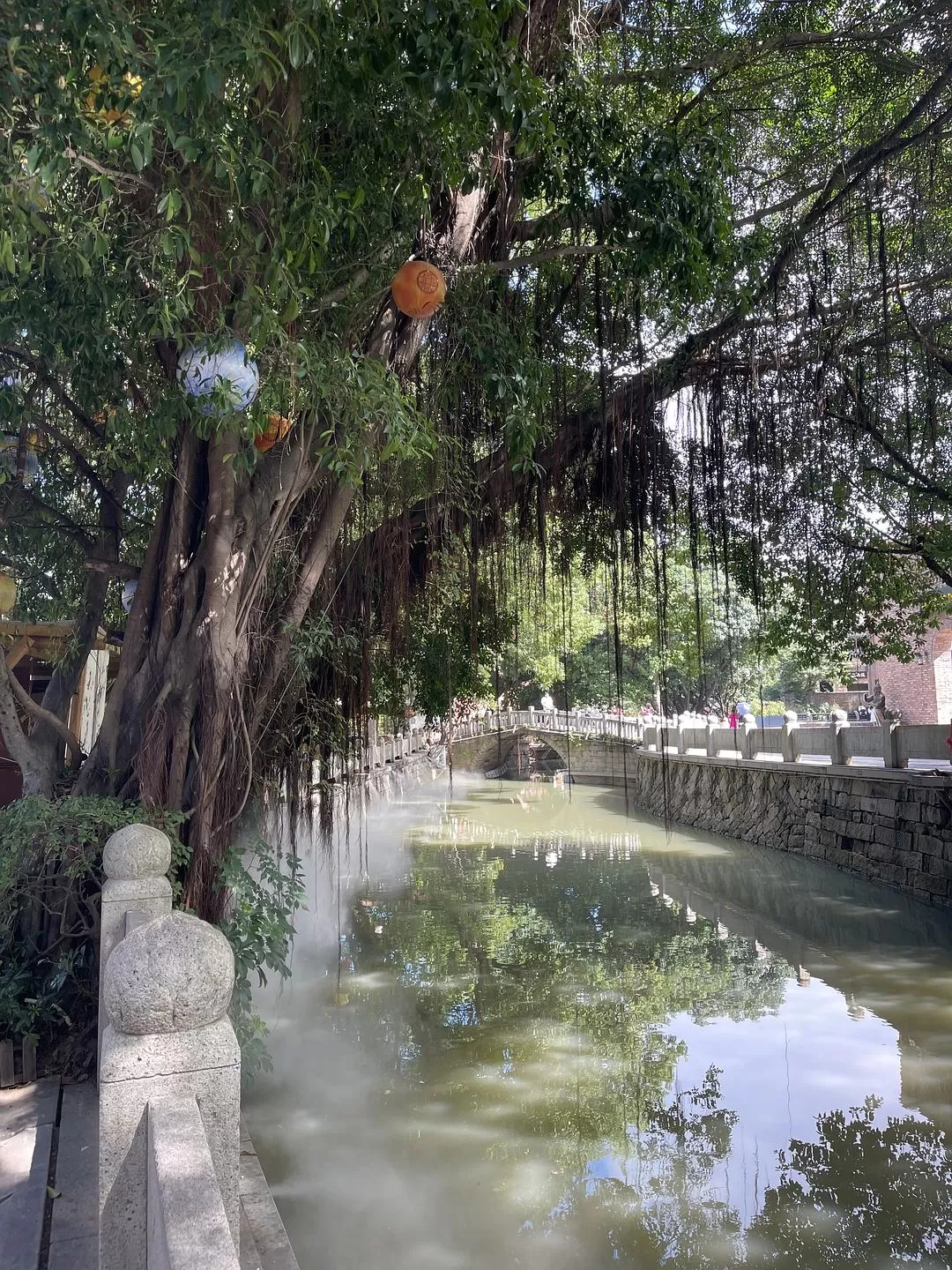 旅游推荐🈲家庭游：带爸妈从金华玩到厦门的二十二天之旅