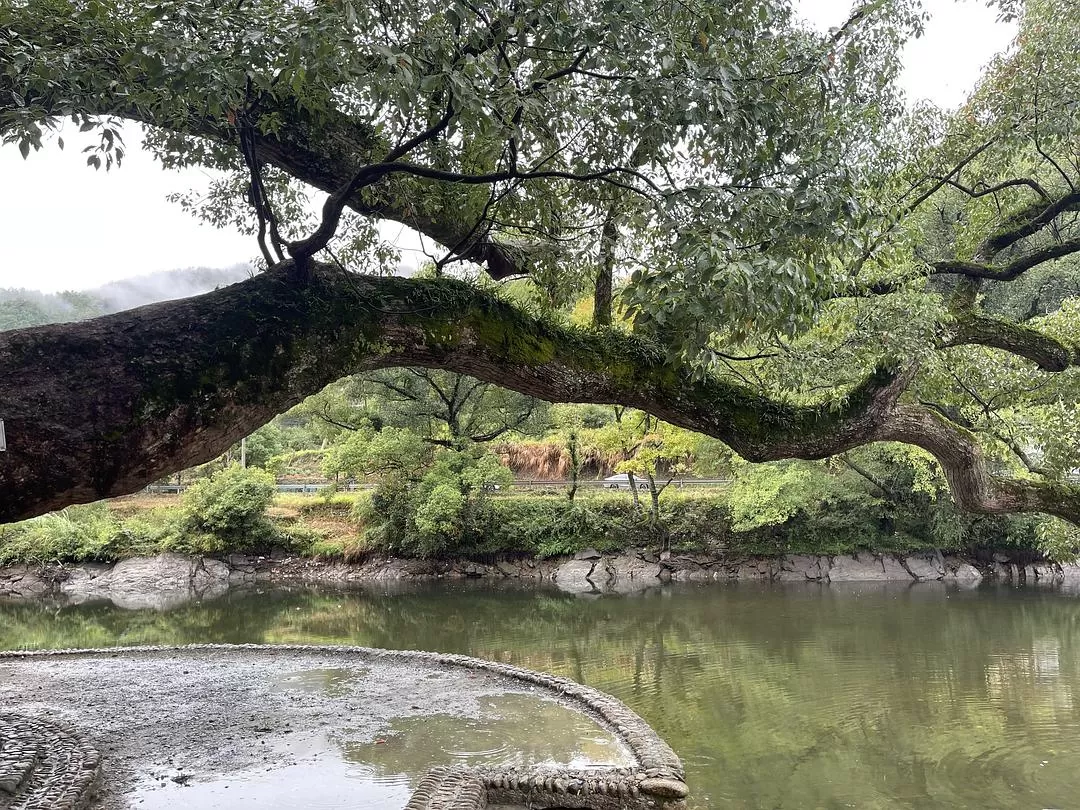 旅游推荐🈲家庭游：带爸妈从金华玩到厦门的二十二天之旅