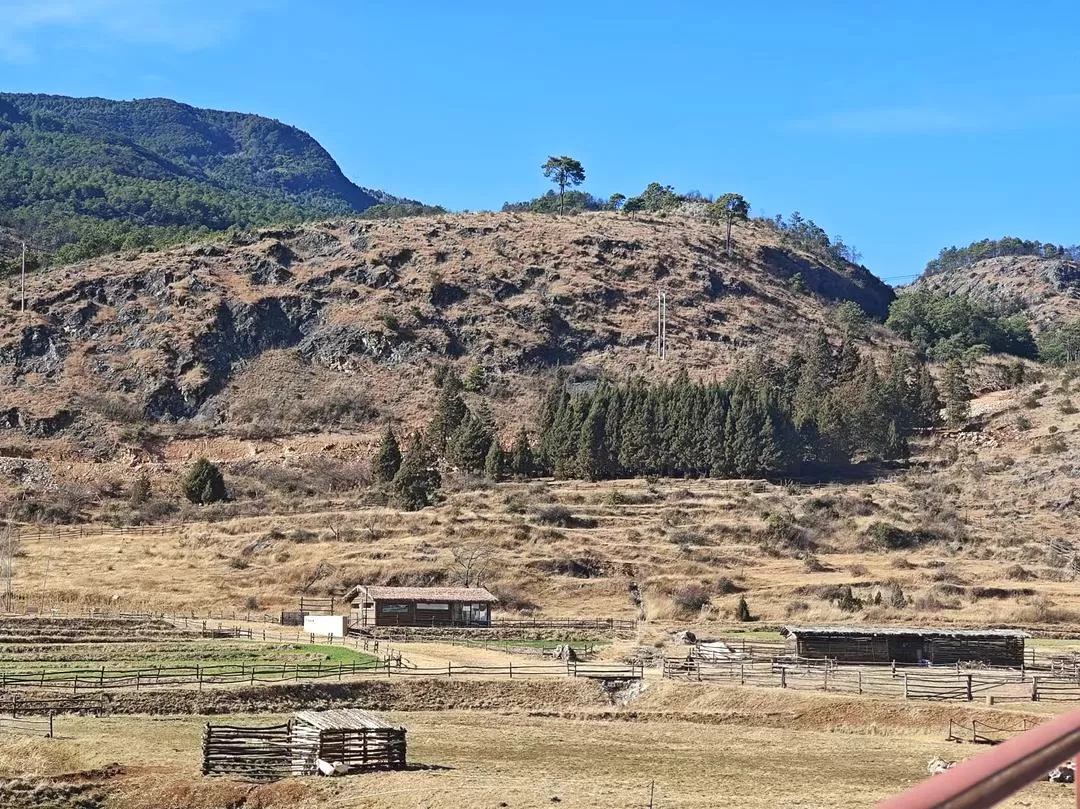 旅游推荐🔥丽江-香格里拉 7日游
