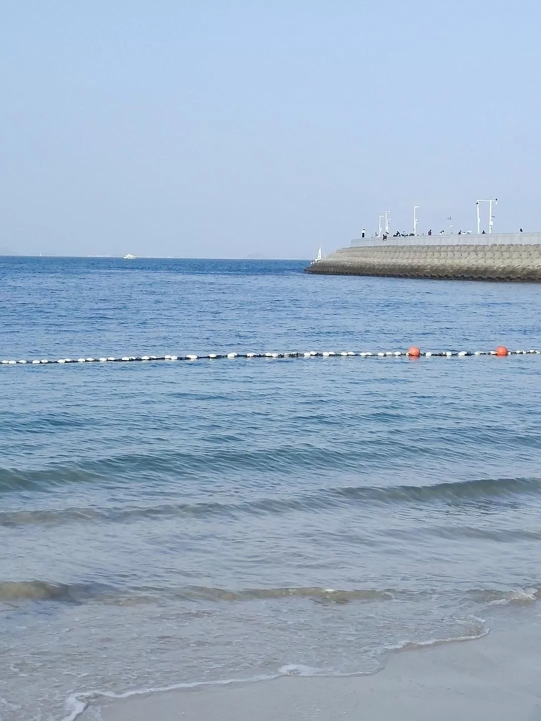 旅游推荐💞一人游：春节深圳旅游大成功！