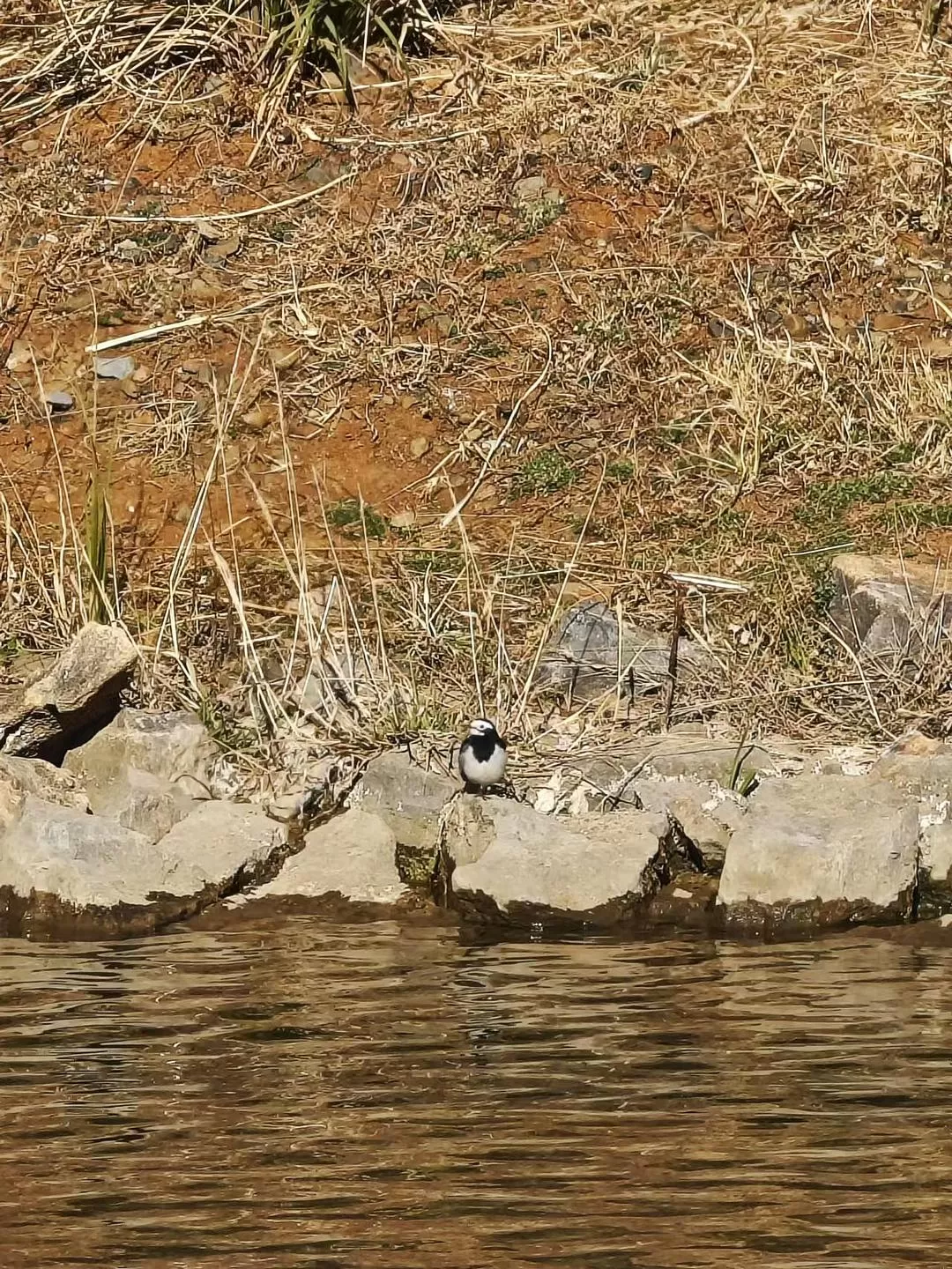旅游推荐🔥丽江-香格里拉 7日游