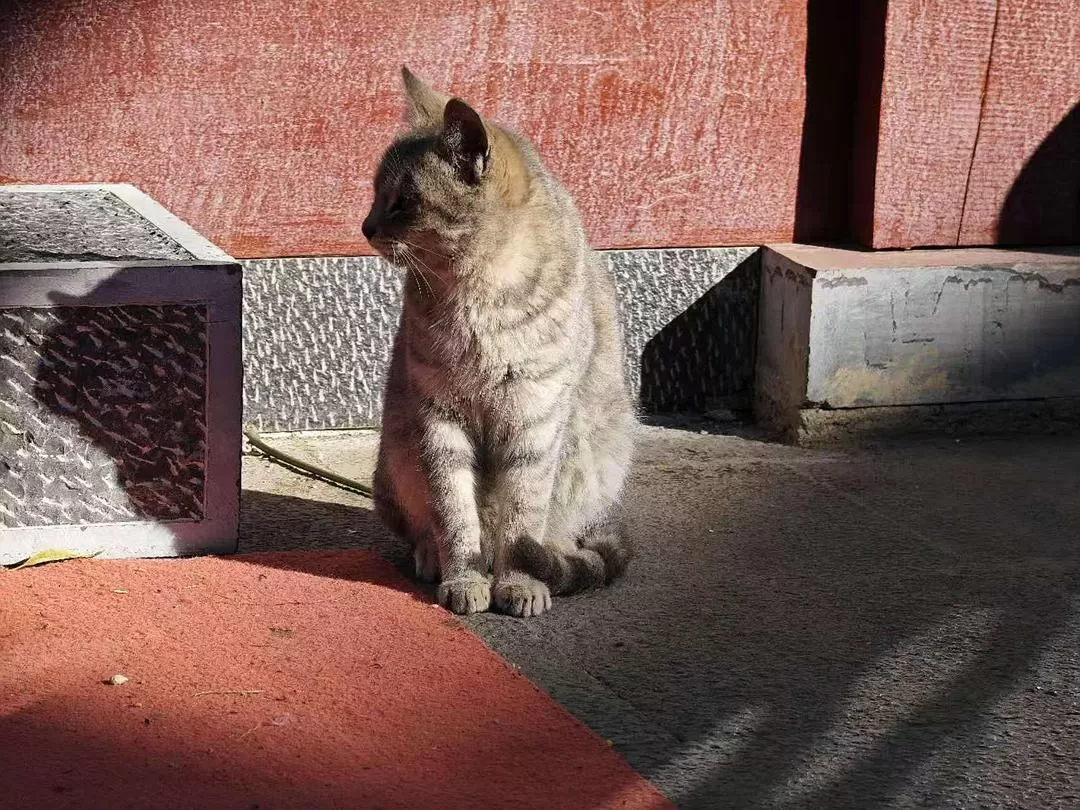 旅游推荐🔥丽江-香格里拉 7日游