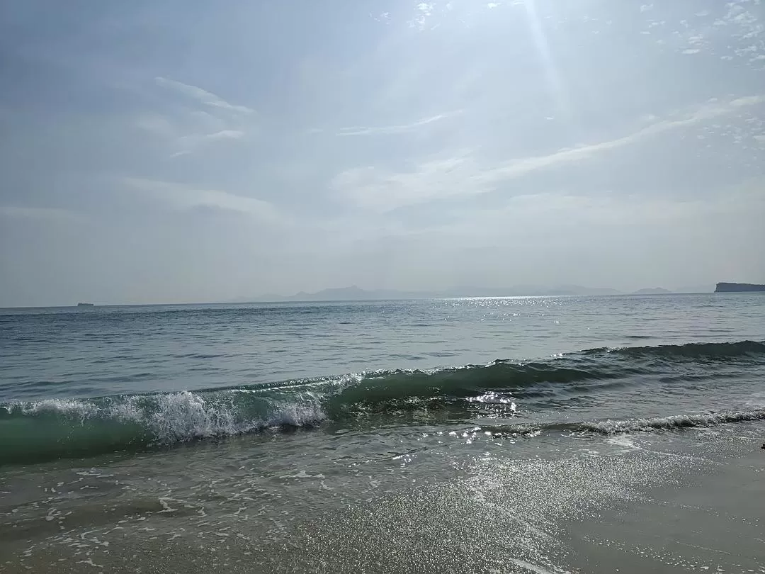 旅游推荐💞一人游：春节深圳旅游大成功！