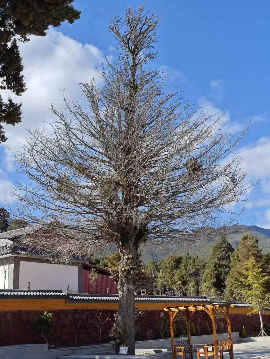 旅游推荐🔥丽江-香格里拉 7日游