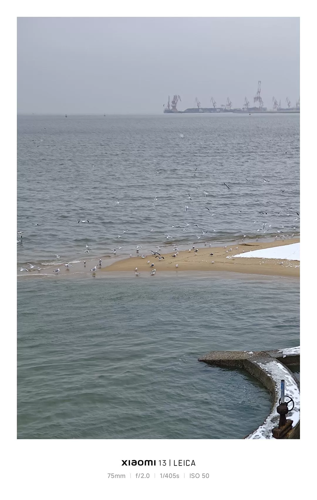 旅游推荐🥇威海春节一人游