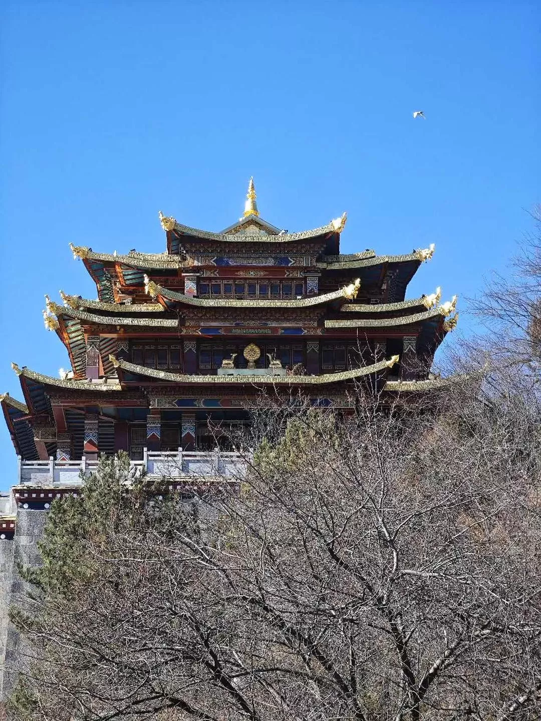 旅游推荐🔥丽江-香格里拉 7日游