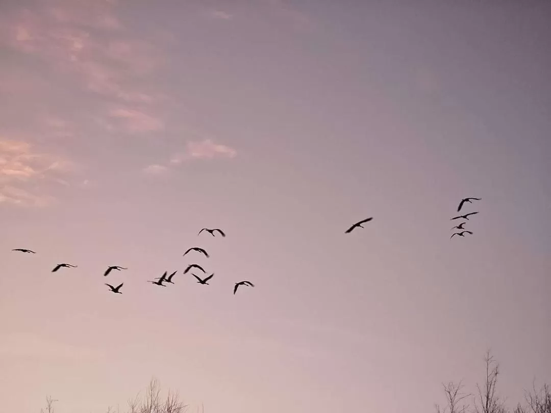 旅游推荐🔥丽江-香格里拉 7日游