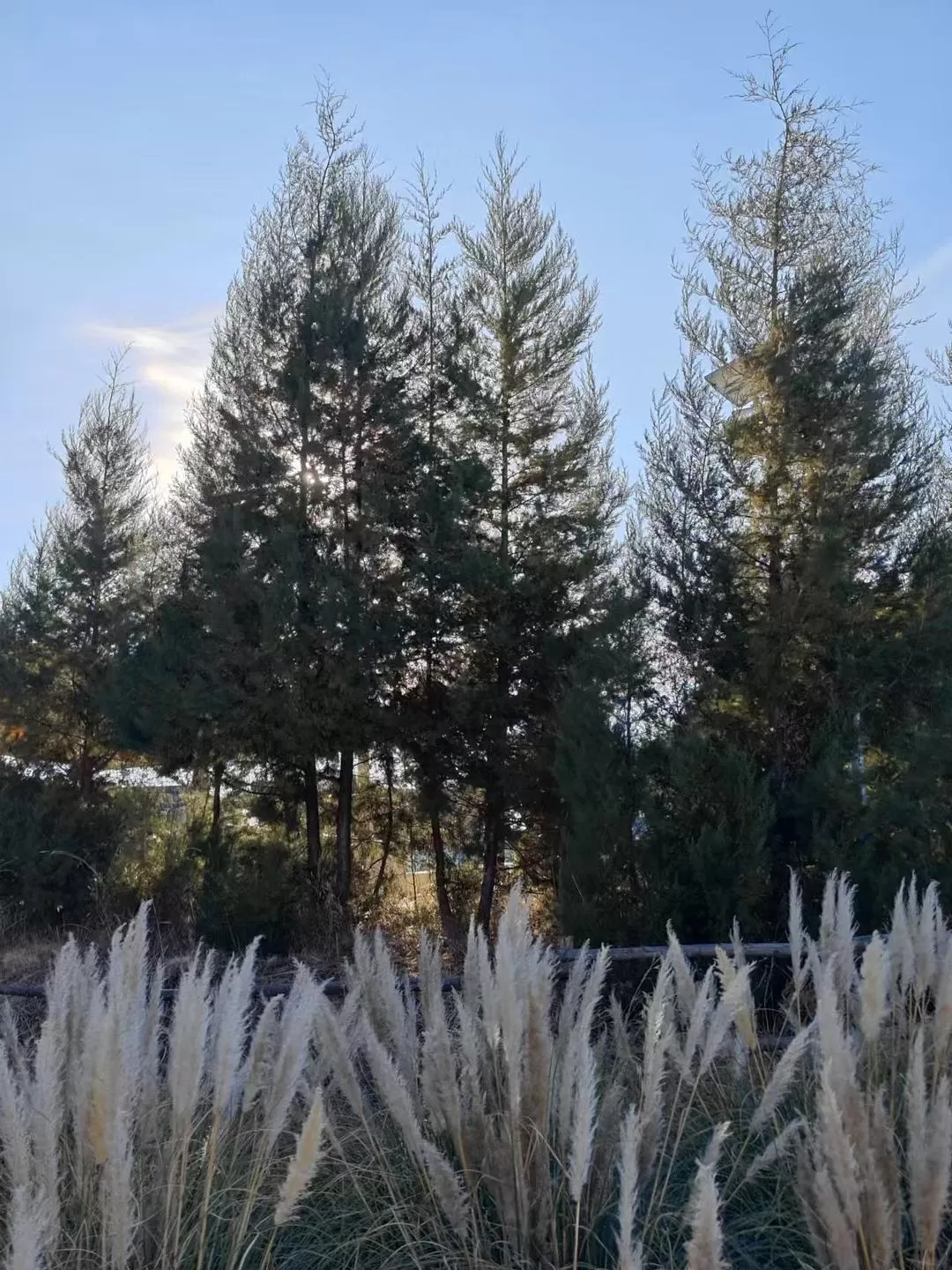 旅游推荐🔥丽江-香格里拉 7日游