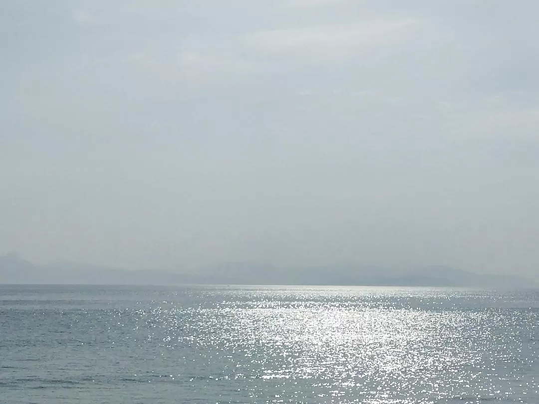 旅游推荐💞一人游：春节深圳旅游大成功！