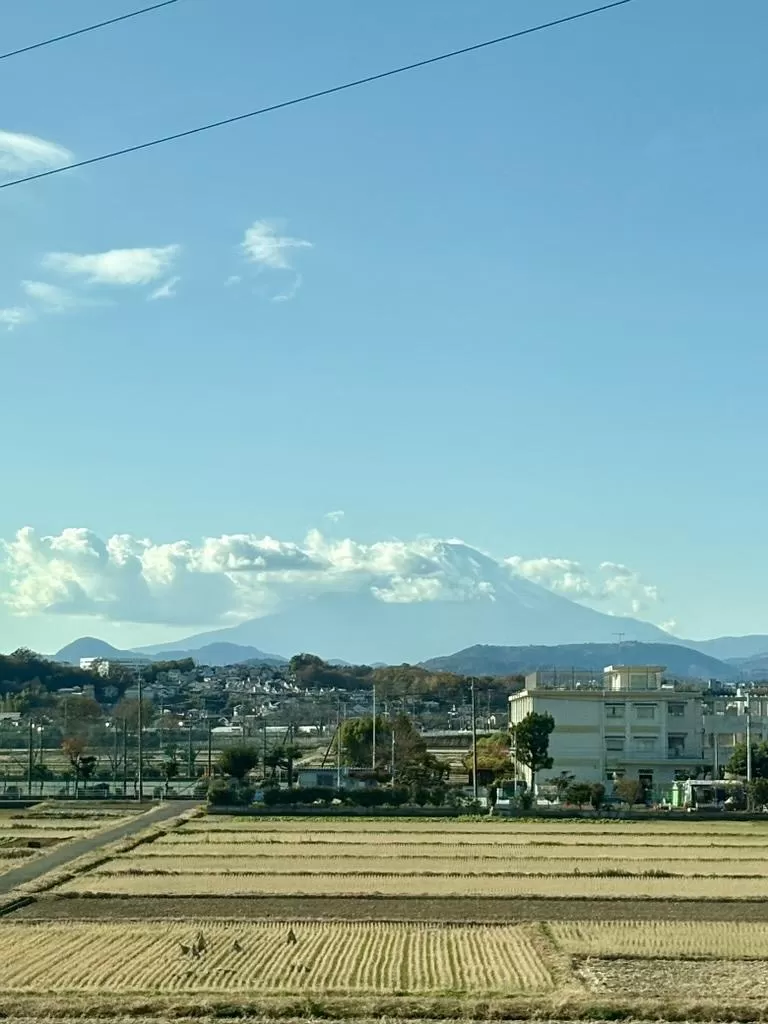 旅游推荐⭐国外游：在日本小住