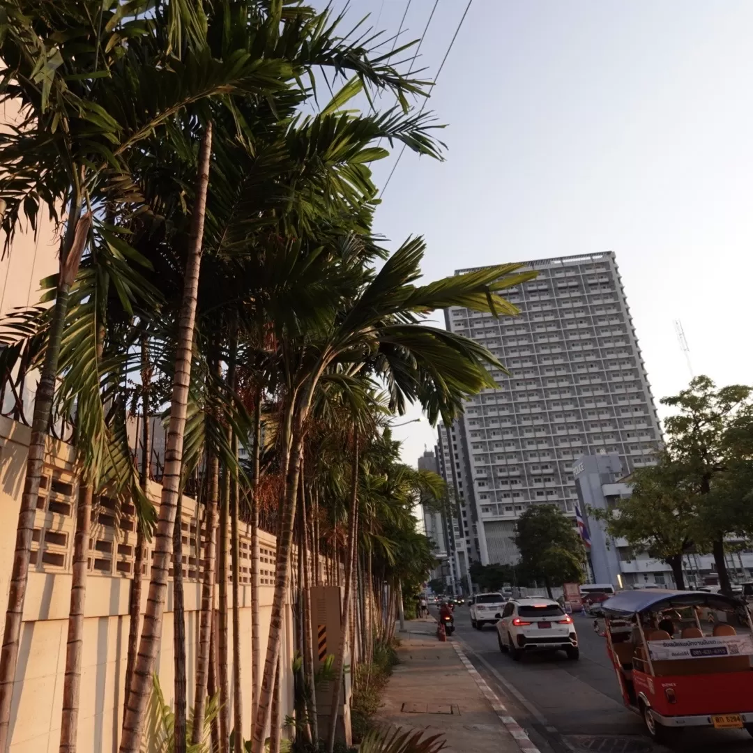 旅游推荐🤬一人游：因为想看演唱会所以独自一人的曼谷+东京七日游