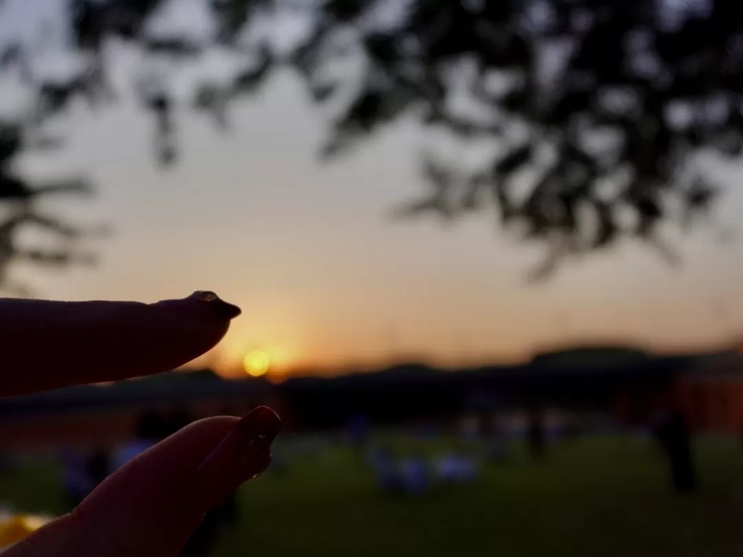 旅游推荐🤬一人游：因为想看演唱会所以独自一人的曼谷+东京七日游