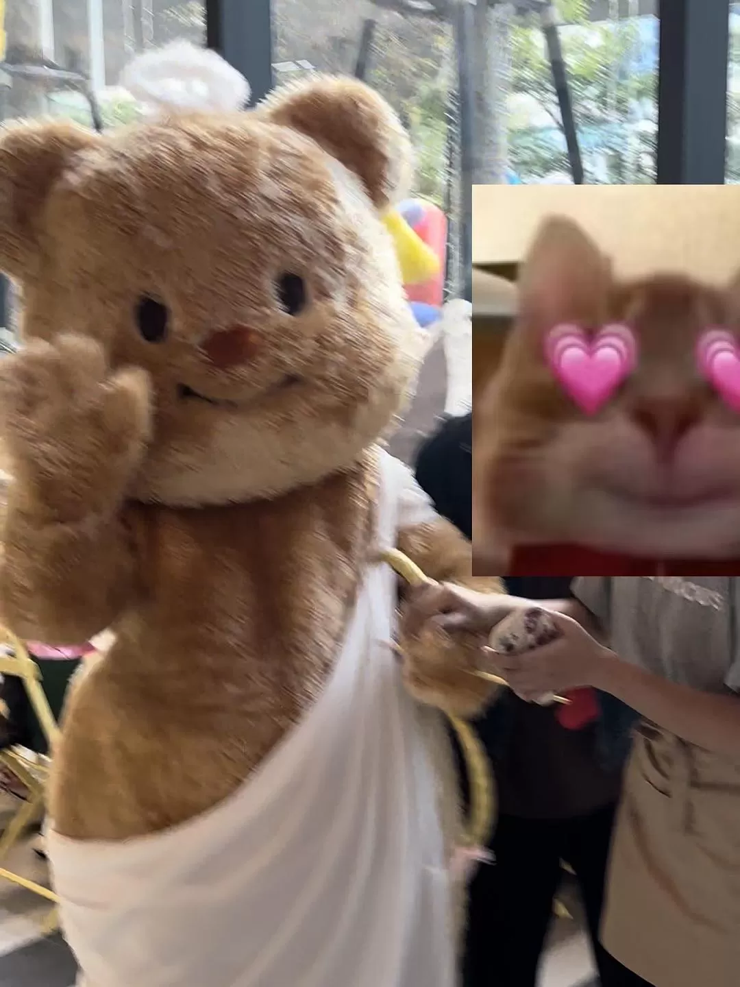 旅游推荐🤬一人游：因为想看演唱会所以独自一人的曼谷+东京七日游