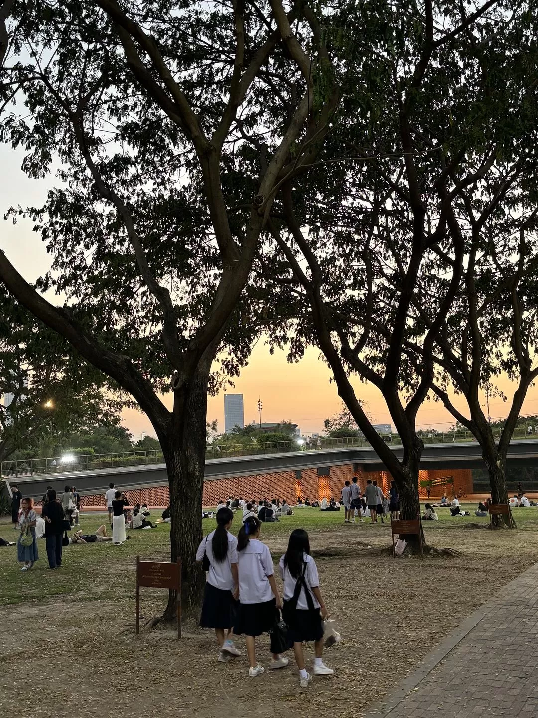 旅游推荐🤬一人游：因为想看演唱会所以独自一人的曼谷+东京七日游