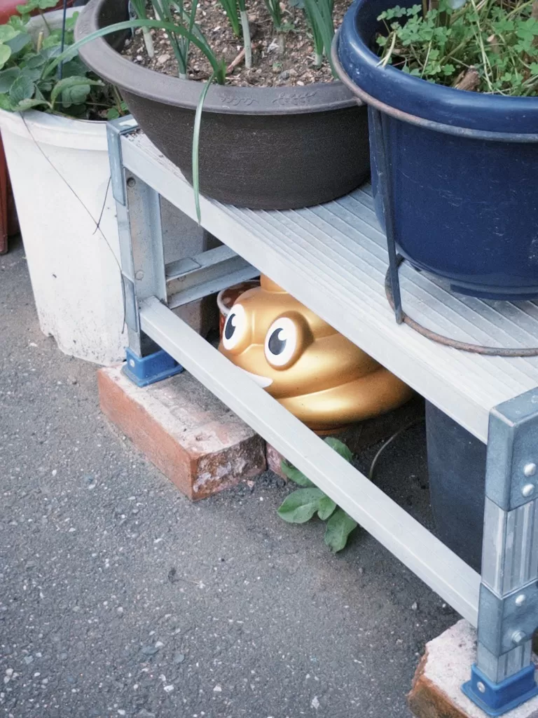 旅游推荐⭐国外游：在日本小住